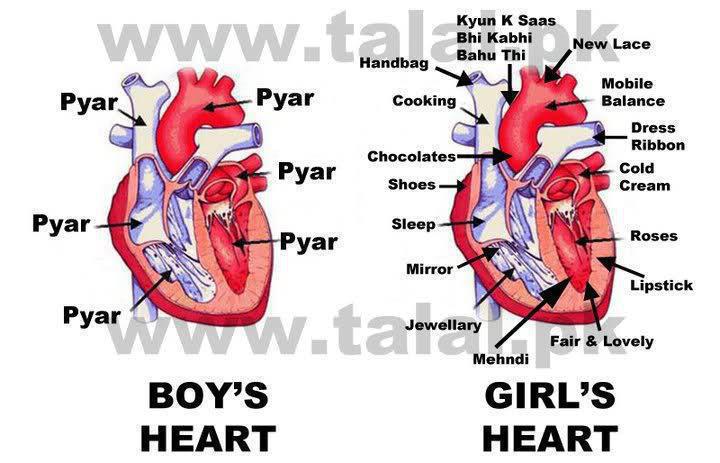 271519,xcitefun-difference-between-heart-of-girl-and-boy