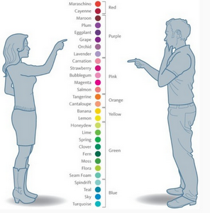 See What is the Difference Between Girls and Boys - how colors are seen
