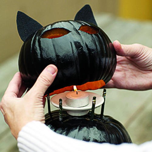 black-cat-o-lanterns-03