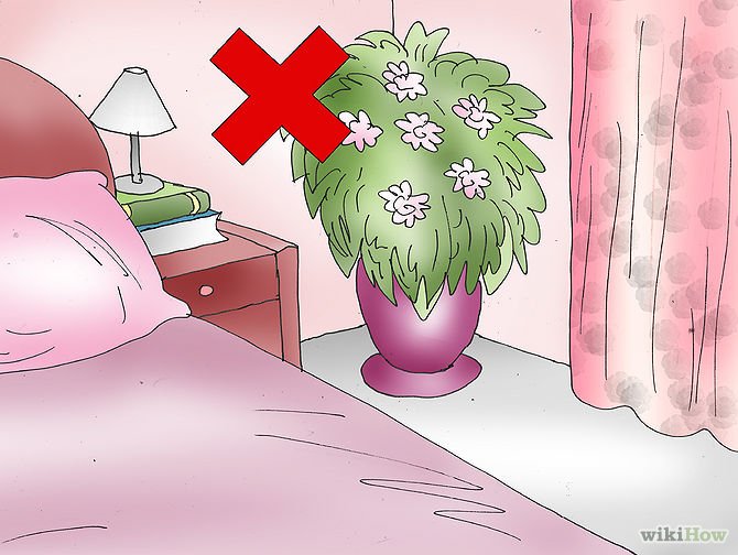 feng shui bedroom plants