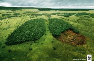 12 Best And Absolutely The Most Striking Environmental Campaign Ads We ...