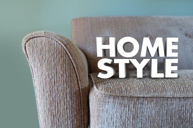 Home Style Couch Furniture Interior Design Decor