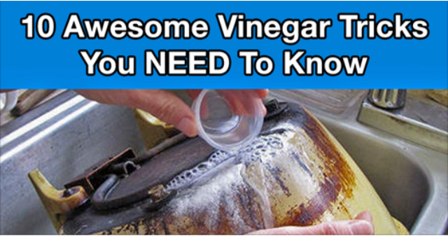 vinegar