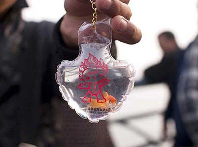 Live goldfish keychains promoting the Olympic Games on sale in Qingdao, China - 01 May 2008...Mandatory Credit: Photo by Sipa Press / Rex Features ( 766407A ) A keychain with a 2008 Beijing Olympics mascot imprinted on it and a live goldfish inside Live goldfish keychains promoting the Olympic Games on sale in Qingdao, China - 01 May 2008