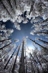 Winter Pictures That Will Take Your Breath Away