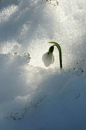 Winter Pictures That Will Take Your Breath Away