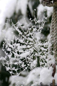 Winter Pictures That Will Take Your Breath Away