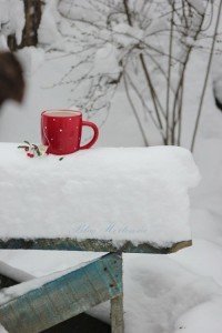 Winter Pictures That Will Take Your Breath Away