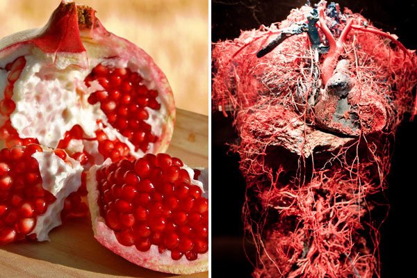 pictures of food that look like body parts