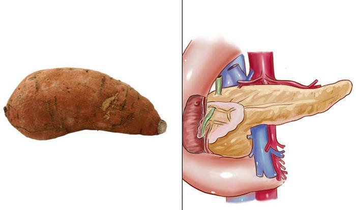 foods that resemble body parts