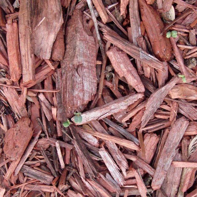 Wood Chips Used for an Organic Compost World inside pictures