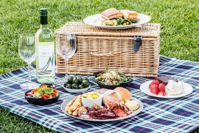 picnic set for 2 with blanket