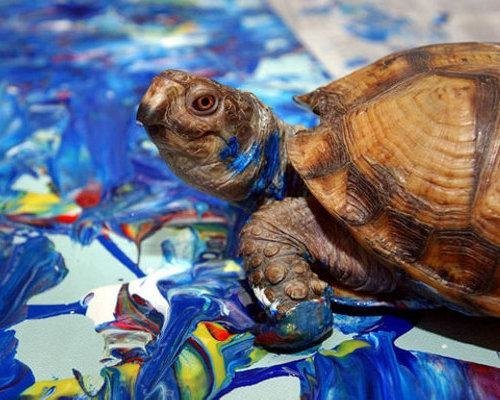 turtle painting