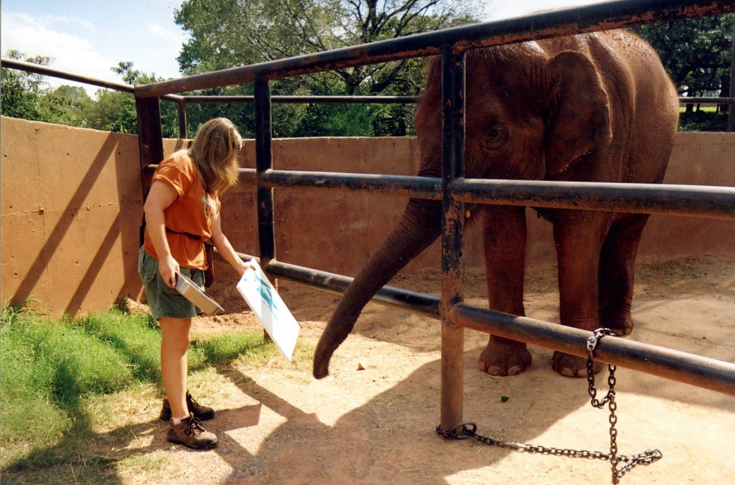 elephant painting