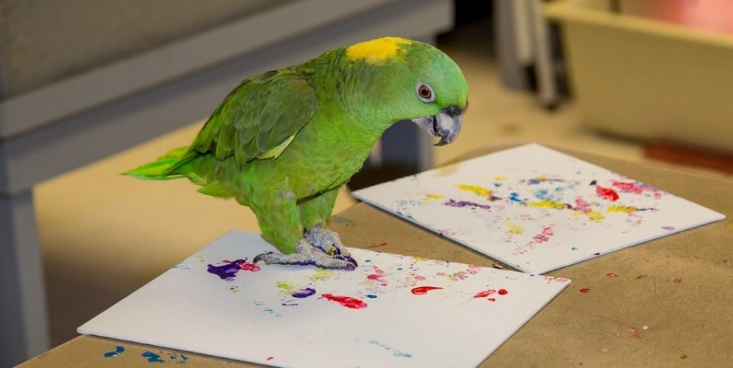 parrot painting