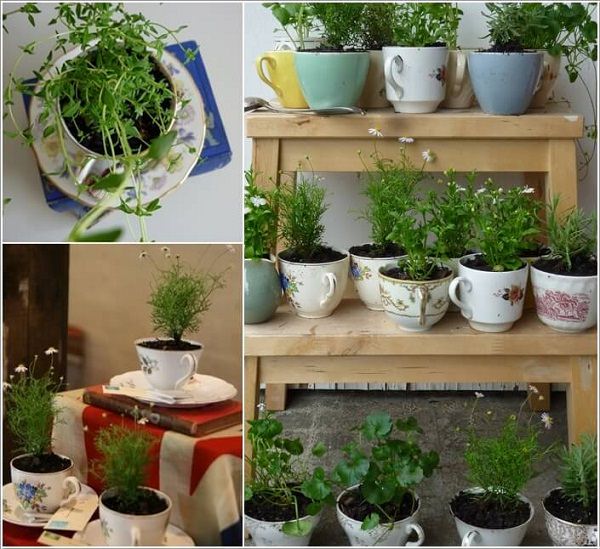 Stupendous Indoor Herb Gardens That You Can Easily Make On