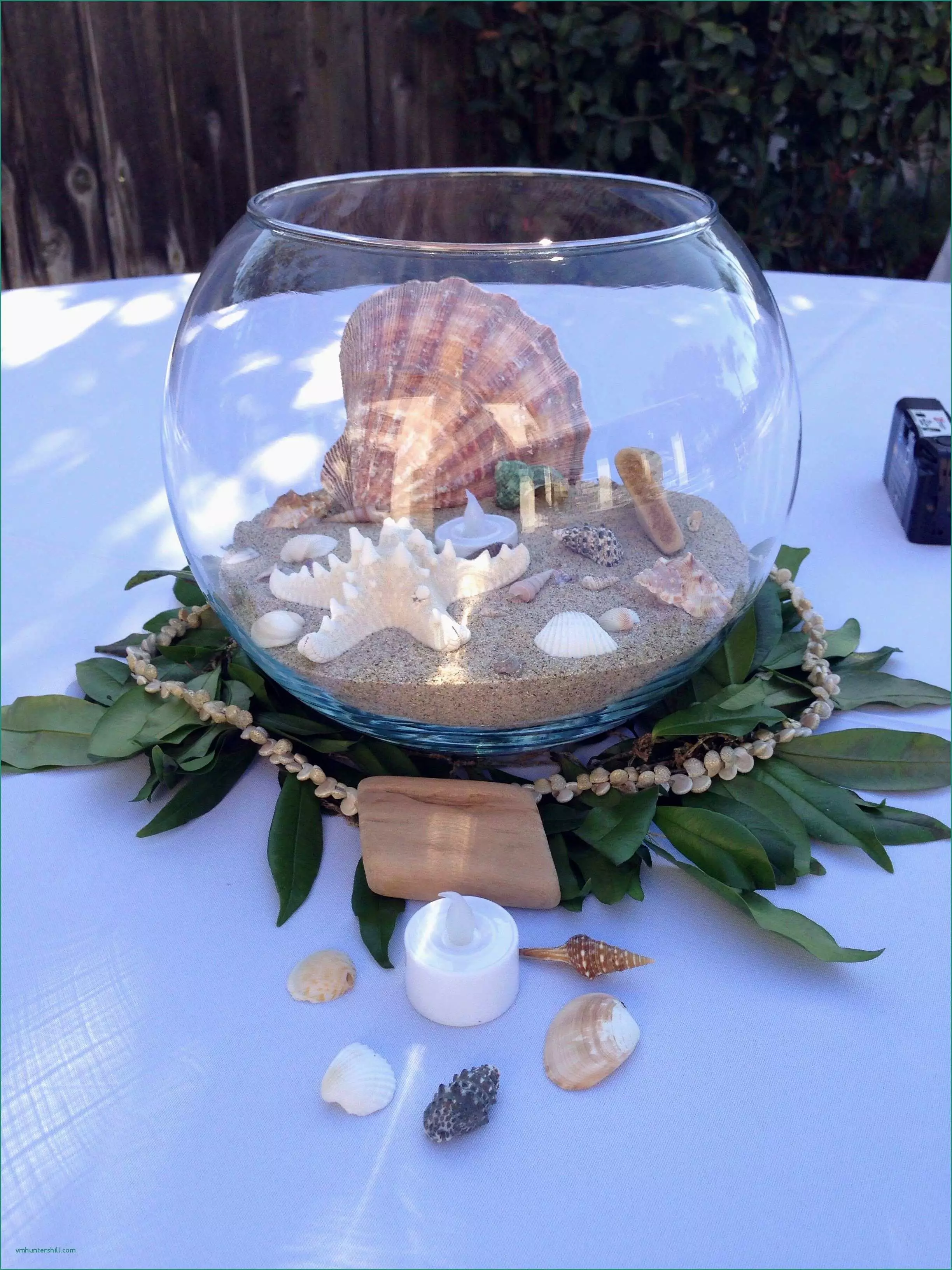 BINYOU Aquarium Ornaments DIY Fish Tank Decorations Mixed Seashells Sea  Snail Coral Starfish Various Sizes up to 2.4
