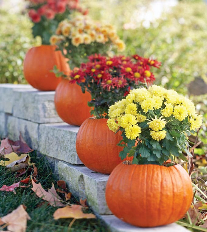 fall pumpkin vases decor