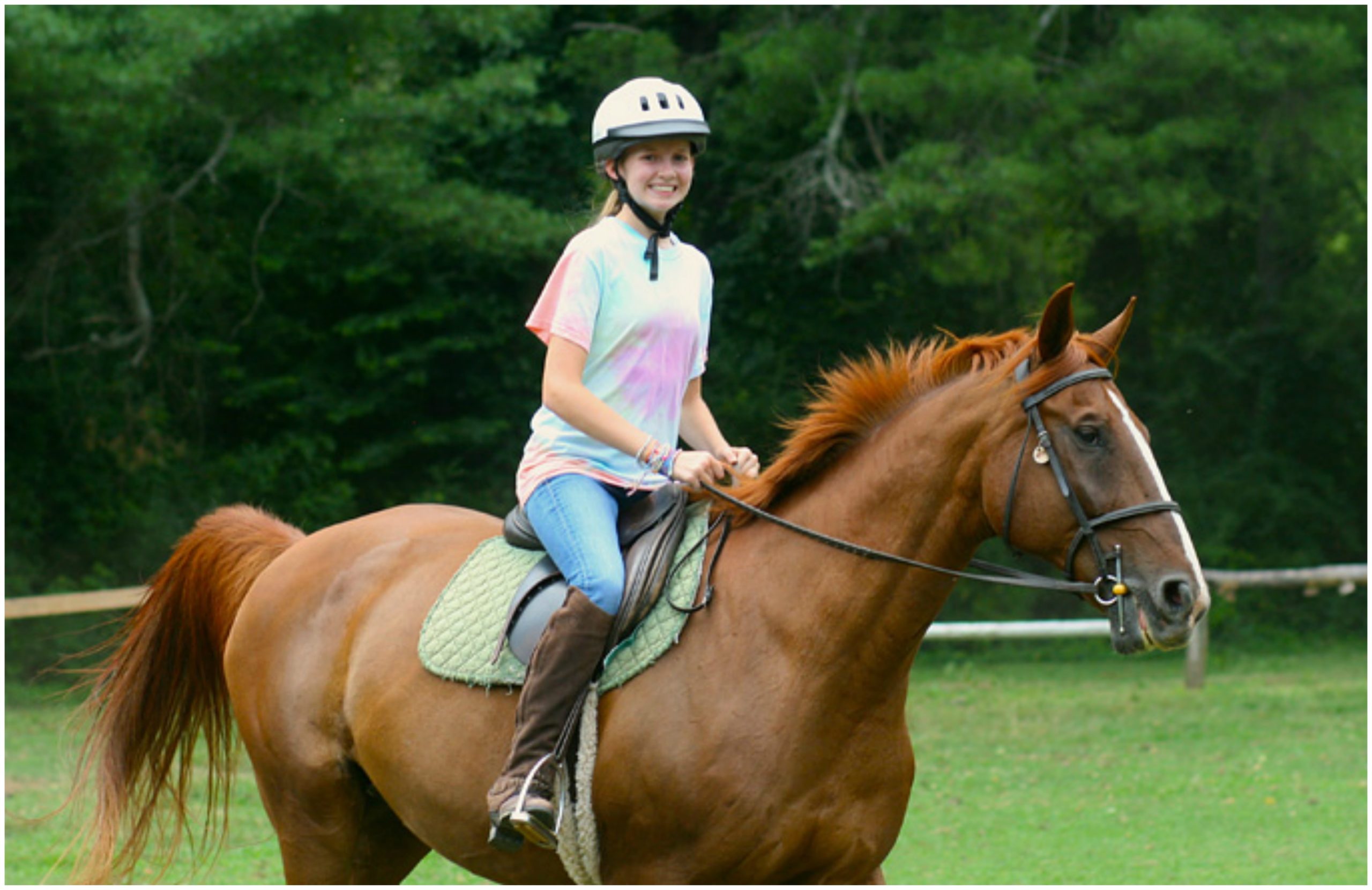 How To Teach A Child To Ride A Horse