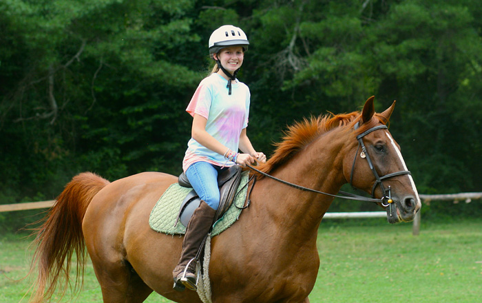 What You Need To Know Before You Take Your First Horse Ride