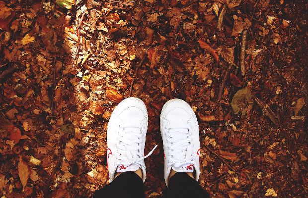 Fall Sneakers