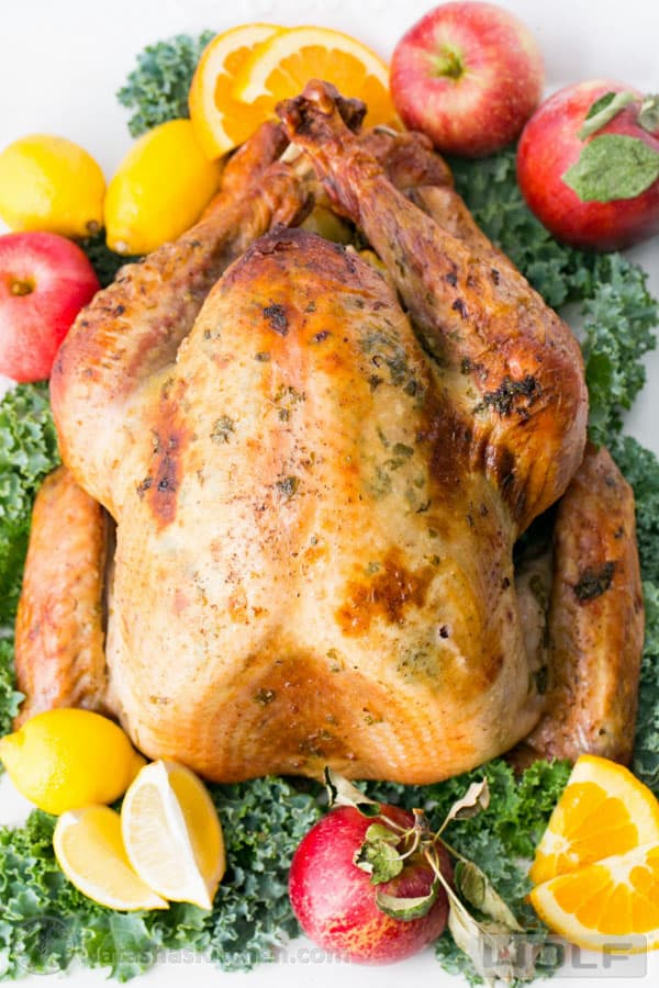 delicious turkey recipes