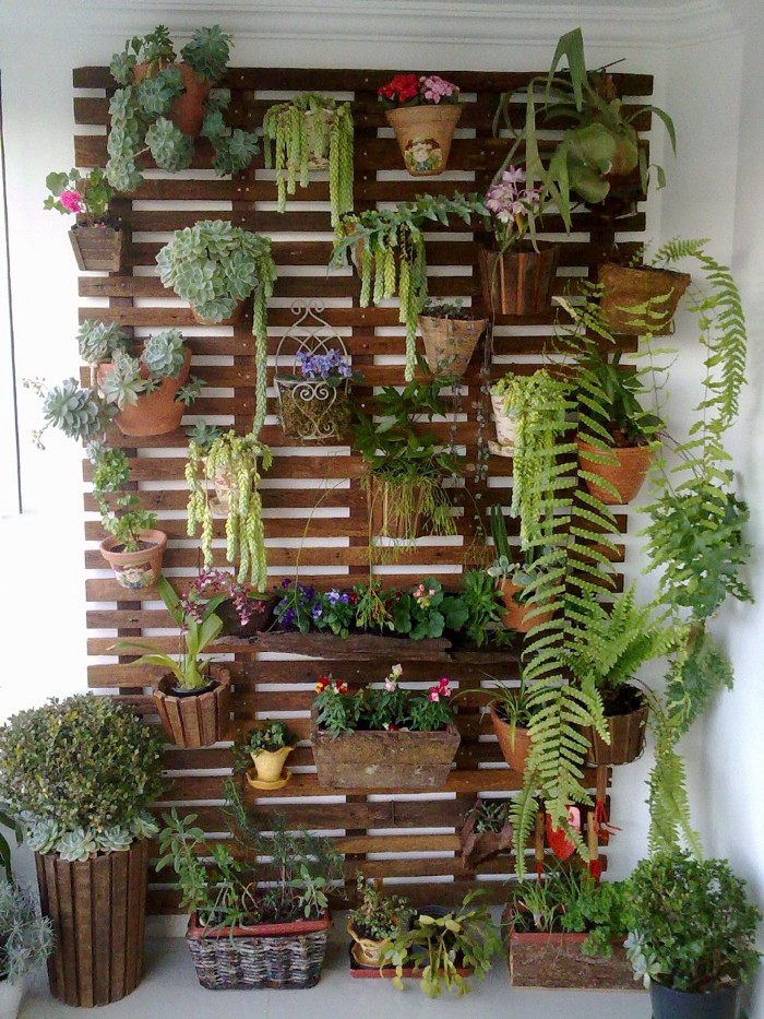 vertical garden