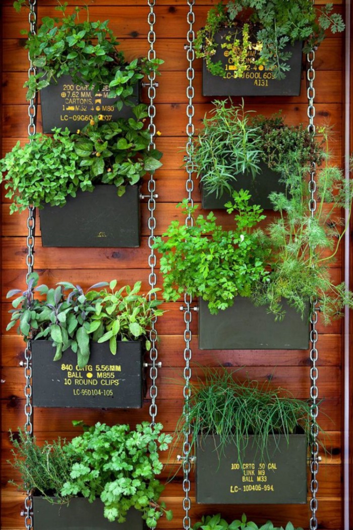 vertical garden designs