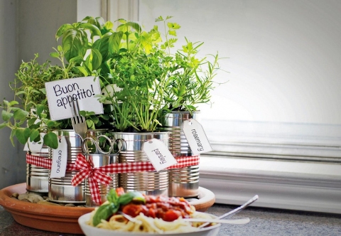 herbs kitchen decor