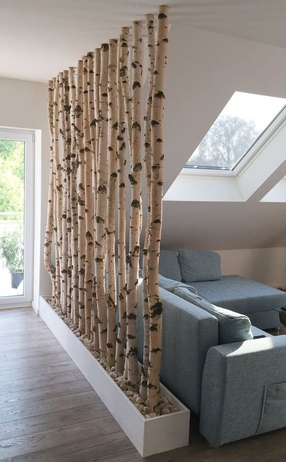 birch tree room divider