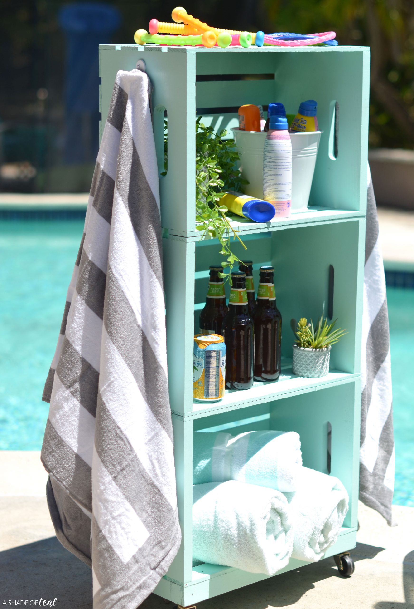 DIY pool organization unit