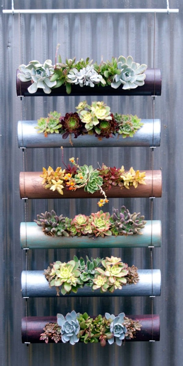 succulent gardens ideas