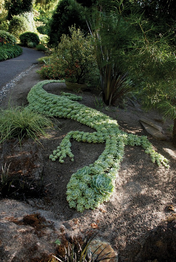 succulent garden design
