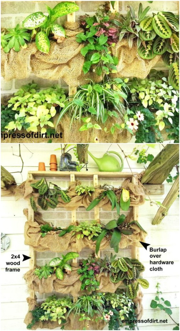 vertical garden