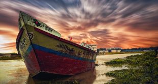 Award winning Landscapes
