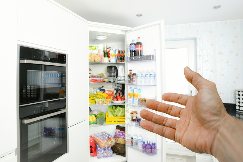 plumbed fridge