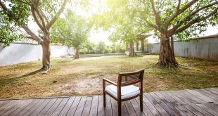 backyard