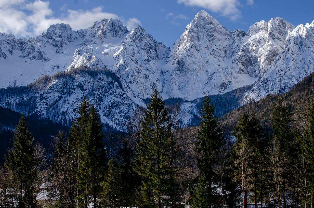 View of the snow-covered mountain.