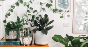 Boho Living Room Decor: 25 Dreamy Ideas You'll Love — image 1