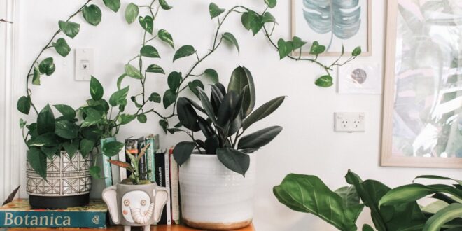 Boho Living Room Decor: 25 Dreamy Ideas You'll Love — image 1