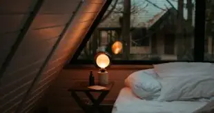 Cozy Bedroom Decor Ideas to Transform Your Space