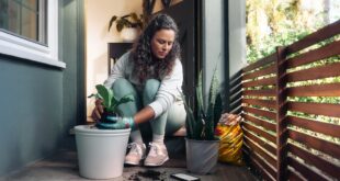 DIY Garden Projects for Beginners: 15 Weekend Ideas — image 1