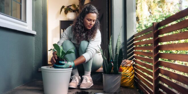 DIY Garden Projects for Beginners: 15 Weekend Ideas — image 1