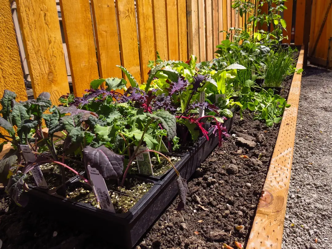 DIY Garden Projects for Beginners: One-Hour Weekend Wins