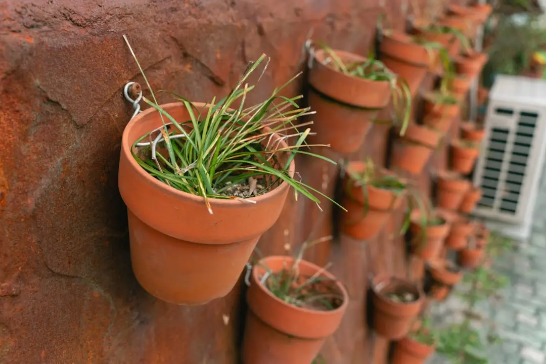 Building Your First Raised Bed: A Beginner-Friendly Weekend Project
