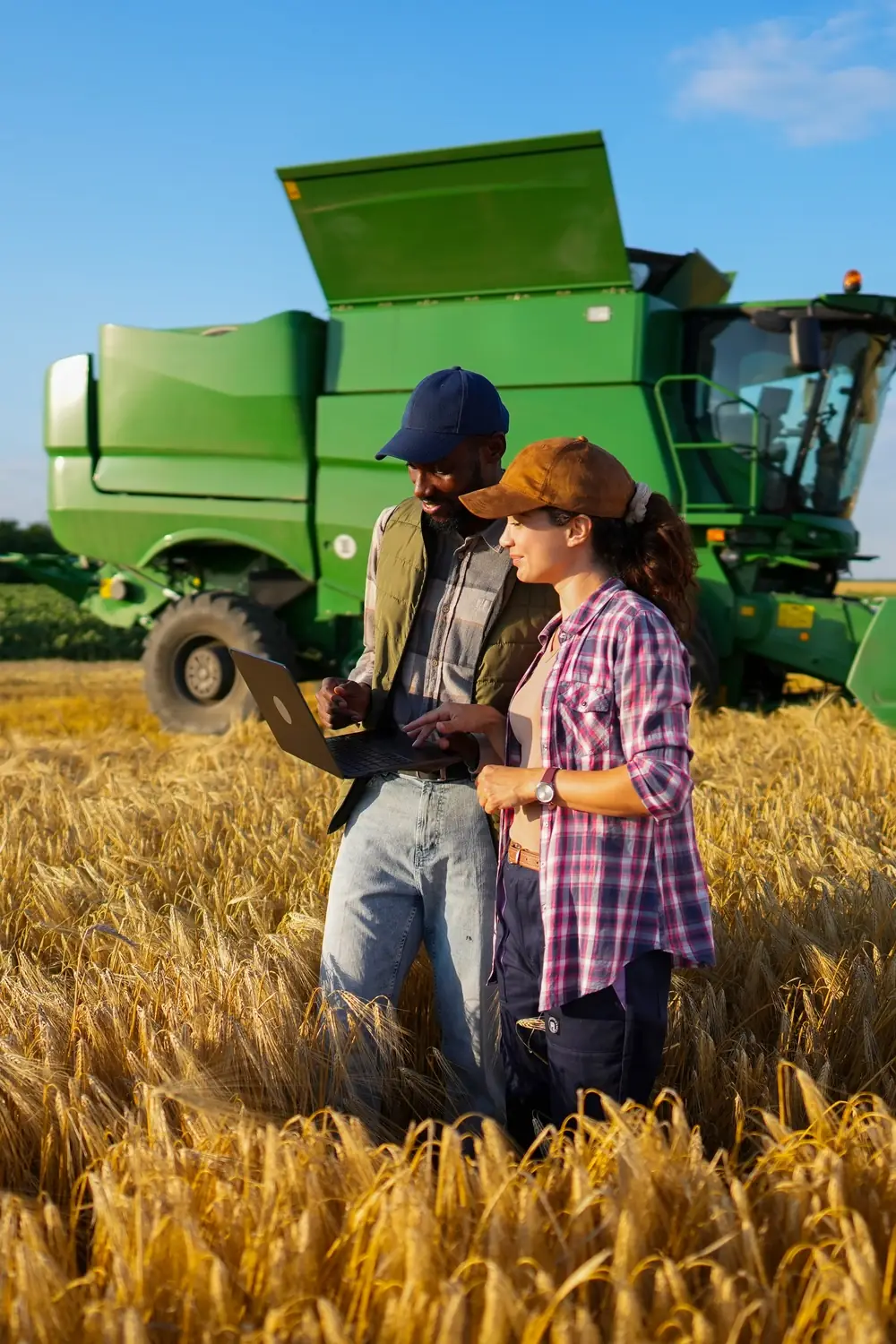 Two people standing in a wheat field and looking at a laptop, with a green combine harvester behind them.