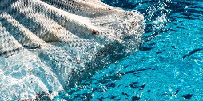 A close-up of a white pool skimmer moving through the surface of a home pool. The water is clear and healthy.